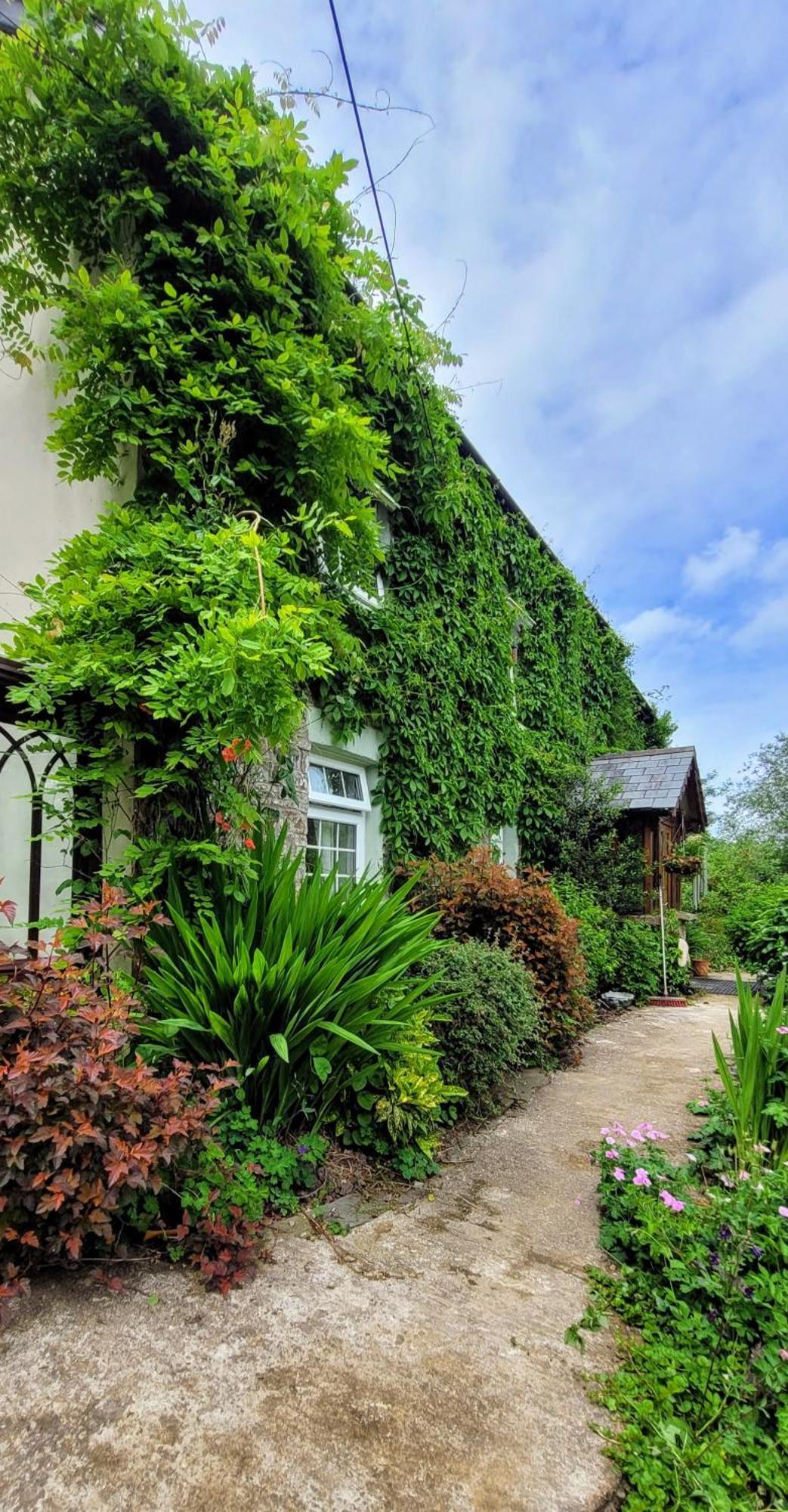Kingsley Cottage - Beautiful Riverside Setting Beaworthy 外观 照片