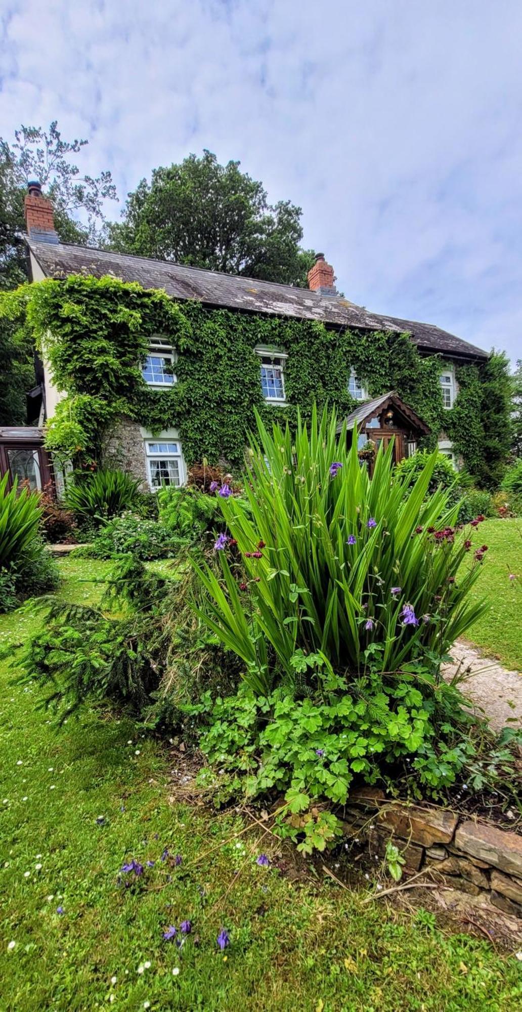 Kingsley Cottage - Beautiful Riverside Setting Beaworthy 外观 照片
