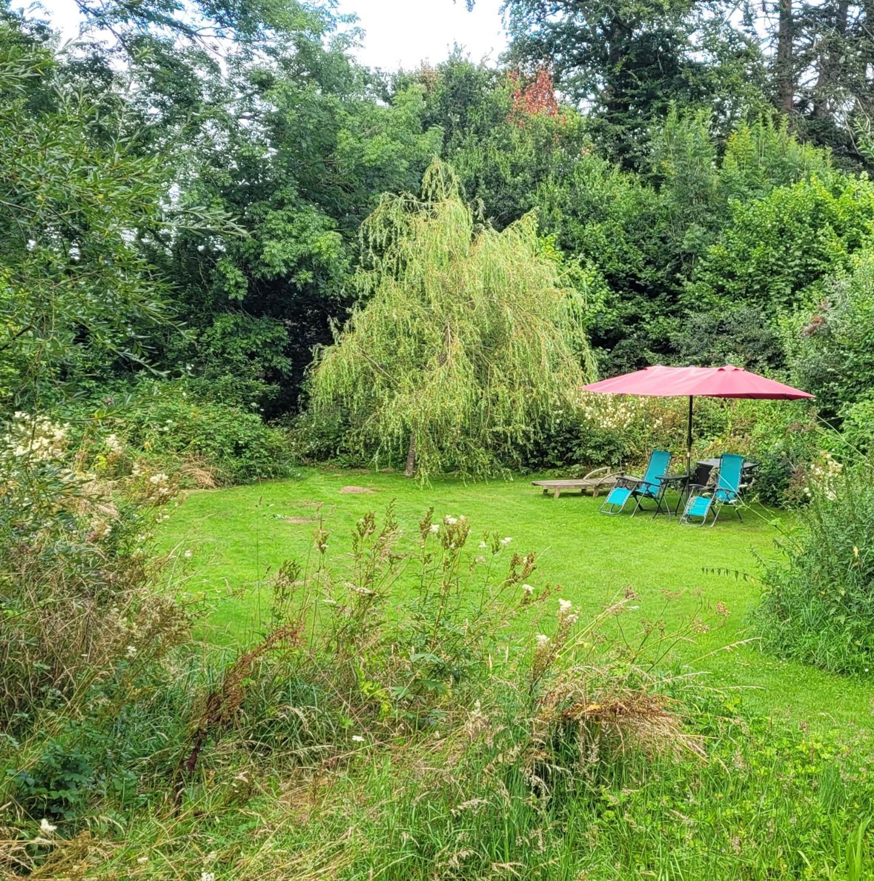 Kingsley Cottage - Beautiful Riverside Setting Beaworthy 外观 照片